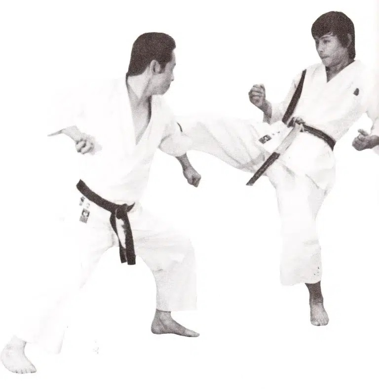 Δραστηριότητες στο Yuukikan Dojo